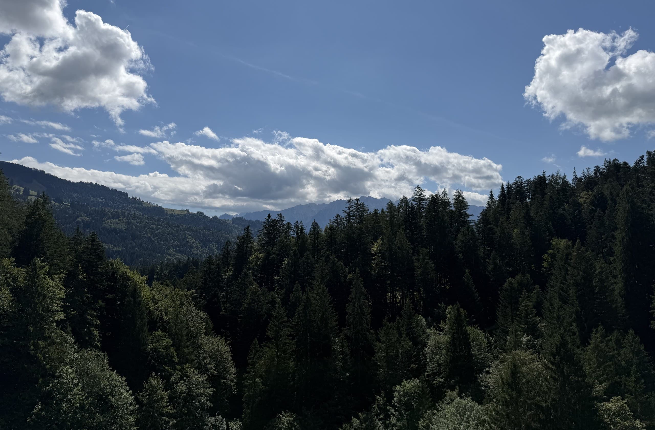 Gartengestaltung & Landschaftspflege bei der Arbeit